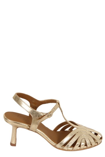 Angulus 5840 Gold